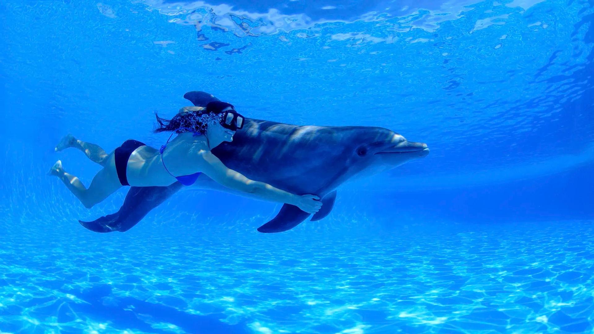 Dolphin Extreme Swim