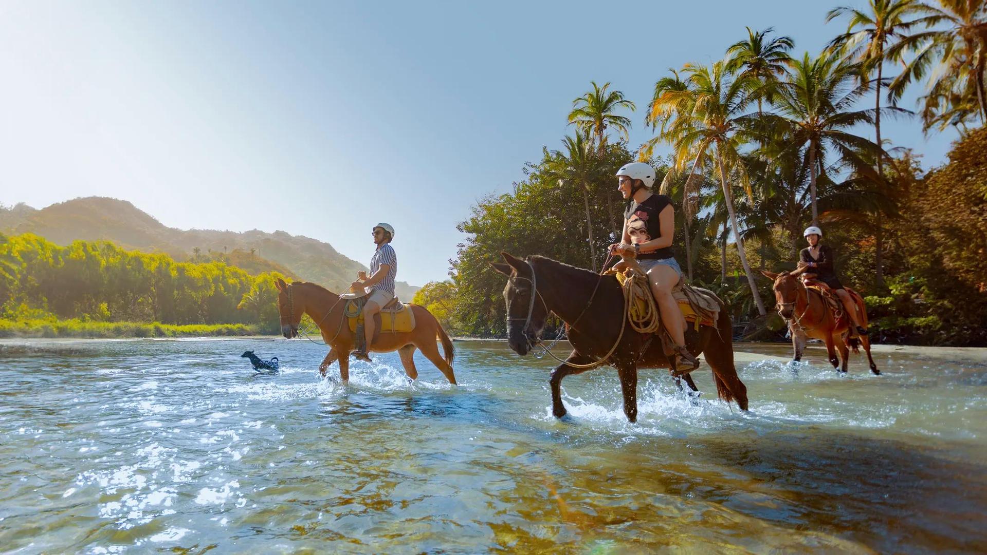 Sea Safari y BBQ en la Playa